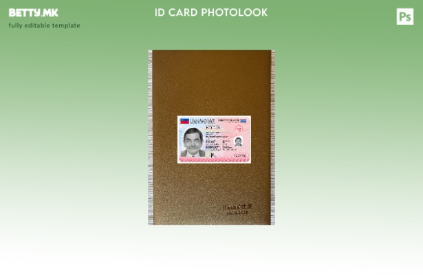 модерен стил Лихтенштајнска лична карта присутен преден шаблон со фото изглед